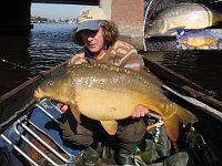 Amsterdamse projectspiegels